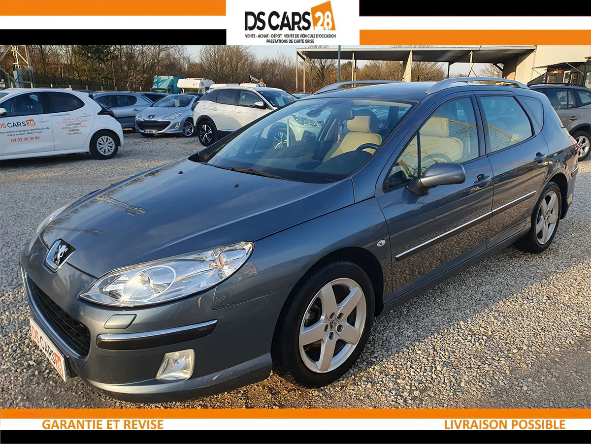 Ds Cars 28 Vehicule Occasion Chartres 36 Peugeot 407 Sw